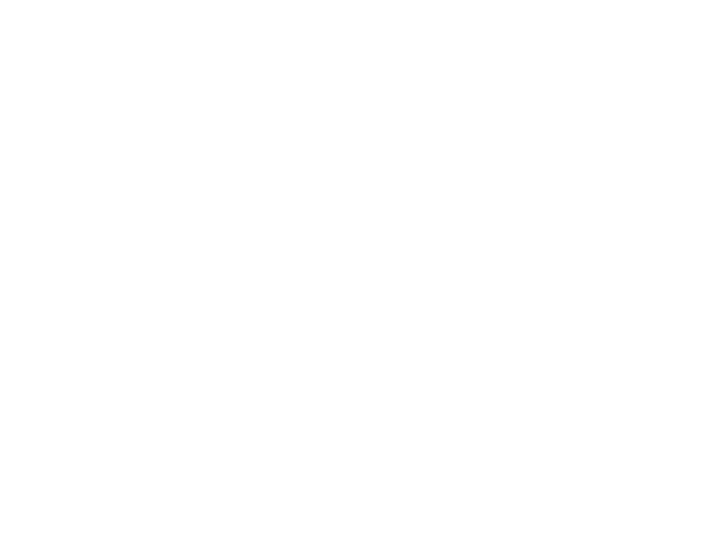 La Diosa Dance Company dance school