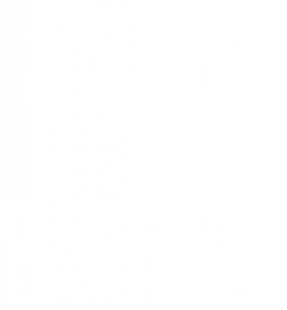 Swing It Berlin 2027 cover