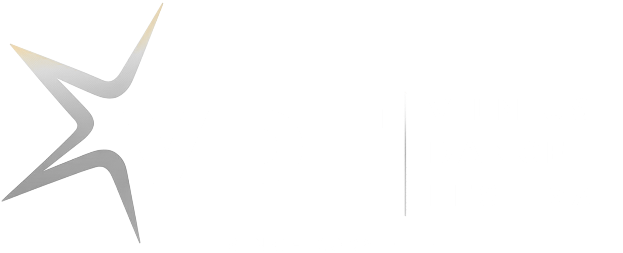 Vilnius Dance Festival 2027 cover