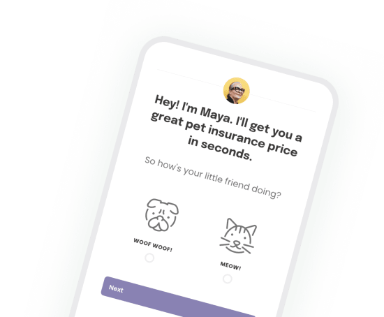 Heyflow mobile screenshot - pet insurance