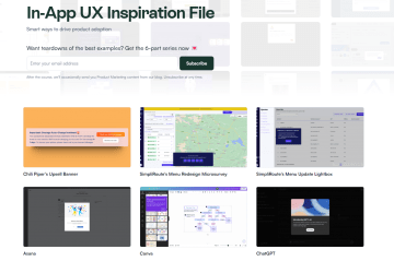 screenshot_Chameleon_website_m3k46s