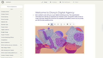 A screenshot of Paperform's themes and appearances