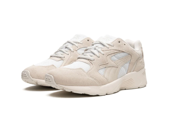 Prevail Premium