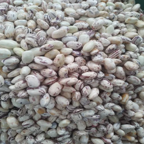 Fresh masaavu beans