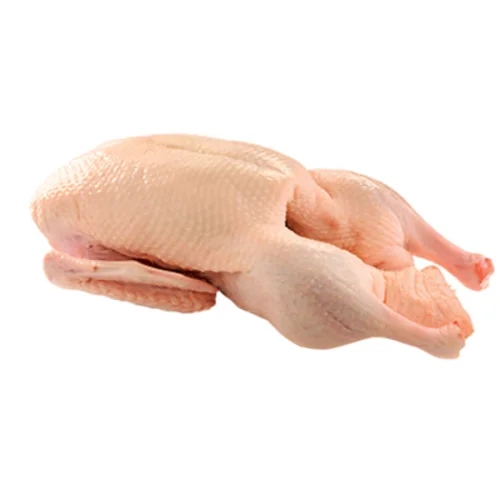 Duck (Embaata)