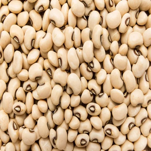 Dry Peas