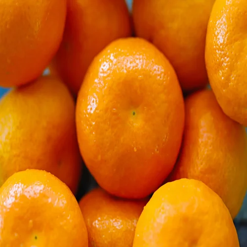 Tangerine Oranges