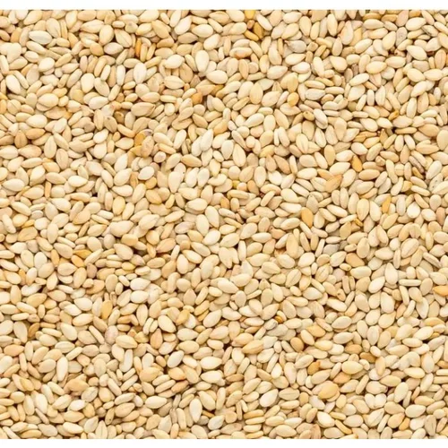 Sesame Seeds