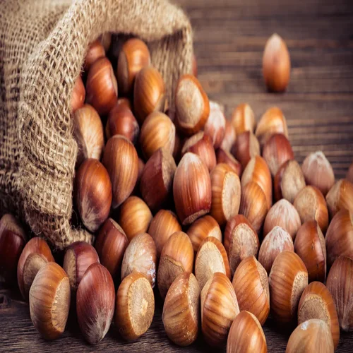 Hazelnuts Seeds