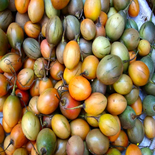 Tree Tomatoes (Ebinyanya Nyanya)