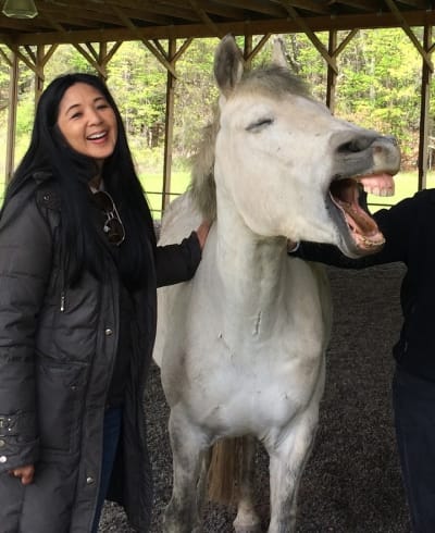 Hudson Valley Horse Play