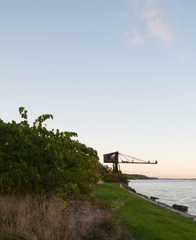 The Spa Garden at Hutton Brickyards