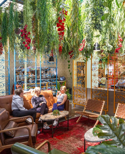 Mister Oso - Wash Park