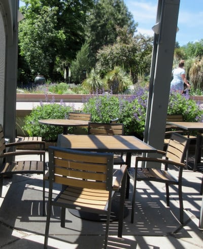 Offshoots at the Gardens Café