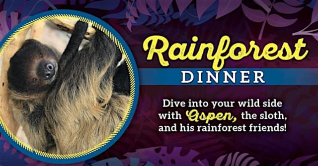 Downtown Aquarium - Rainforest Dinner