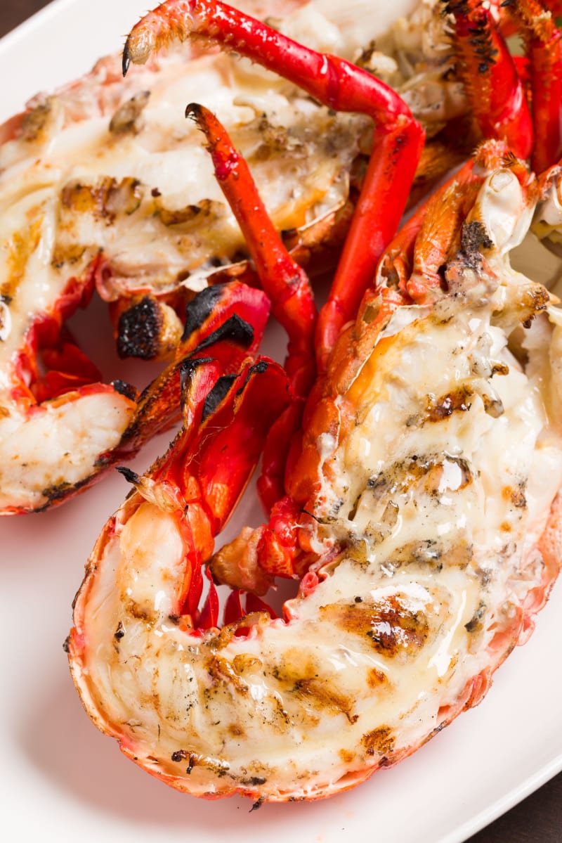 From oysters on the half shell to crudo and ceviche, these spots are a raw bar lover's dream.