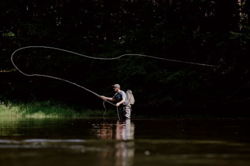 Catskills On The Fly