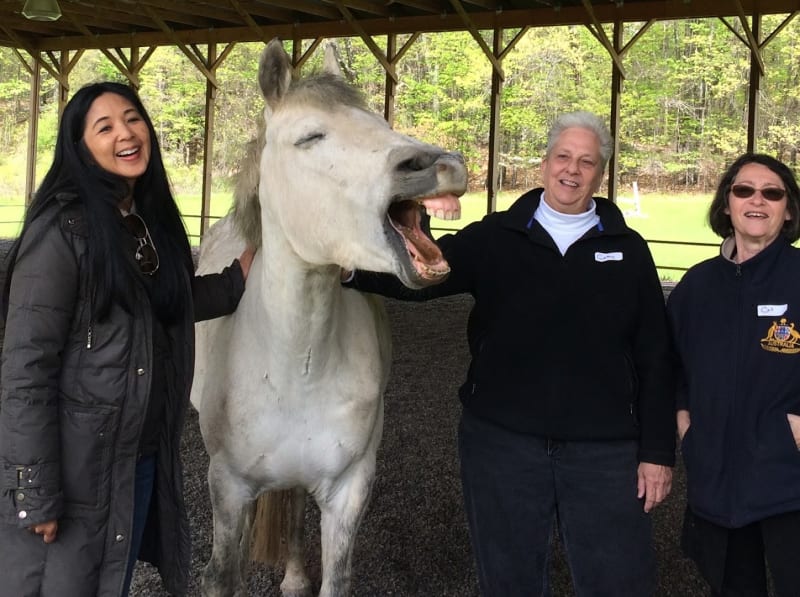 Hudson Valley Horse Play