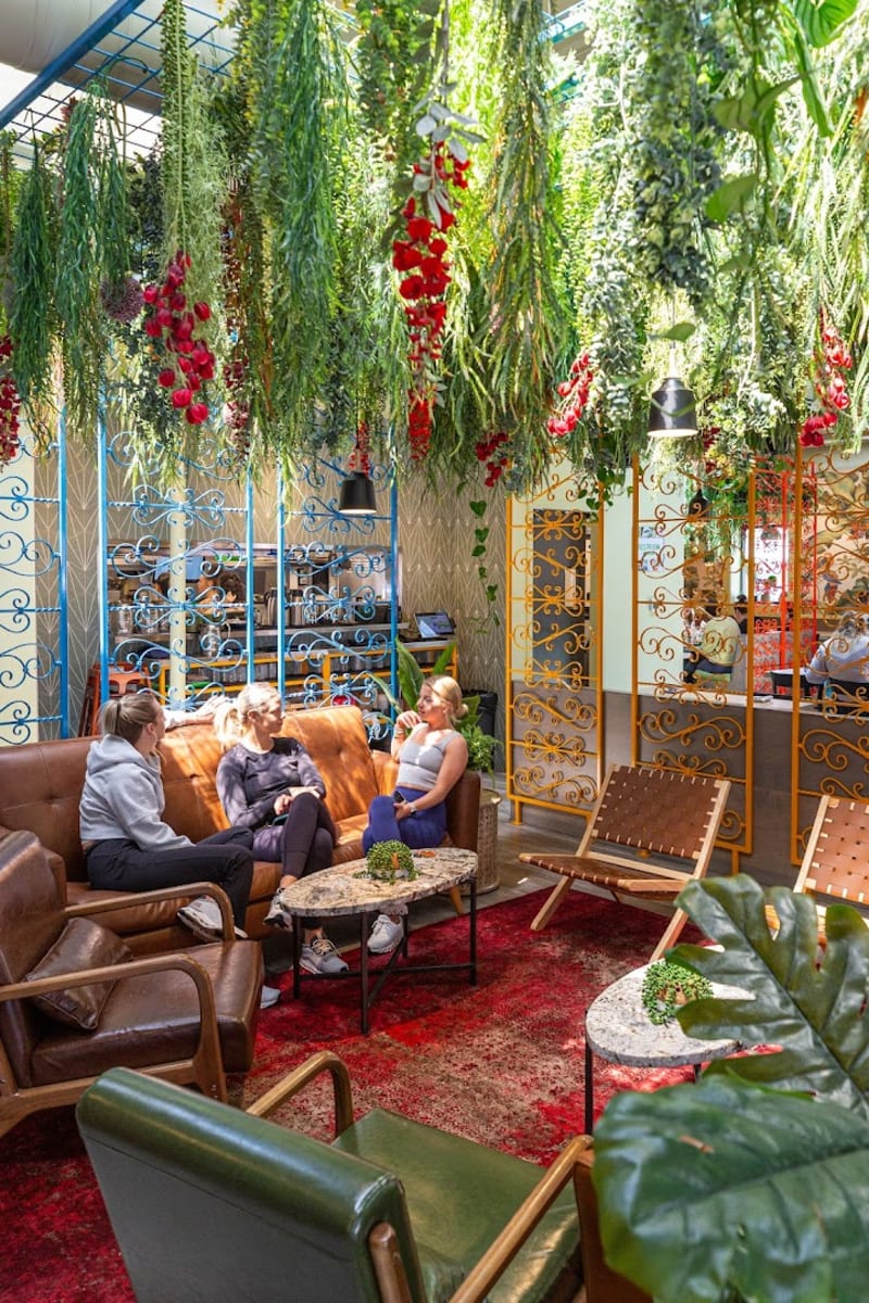 Mister Oso - Wash Park