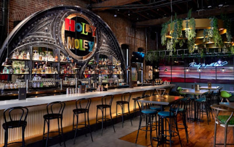 Holey Moley Golf Club