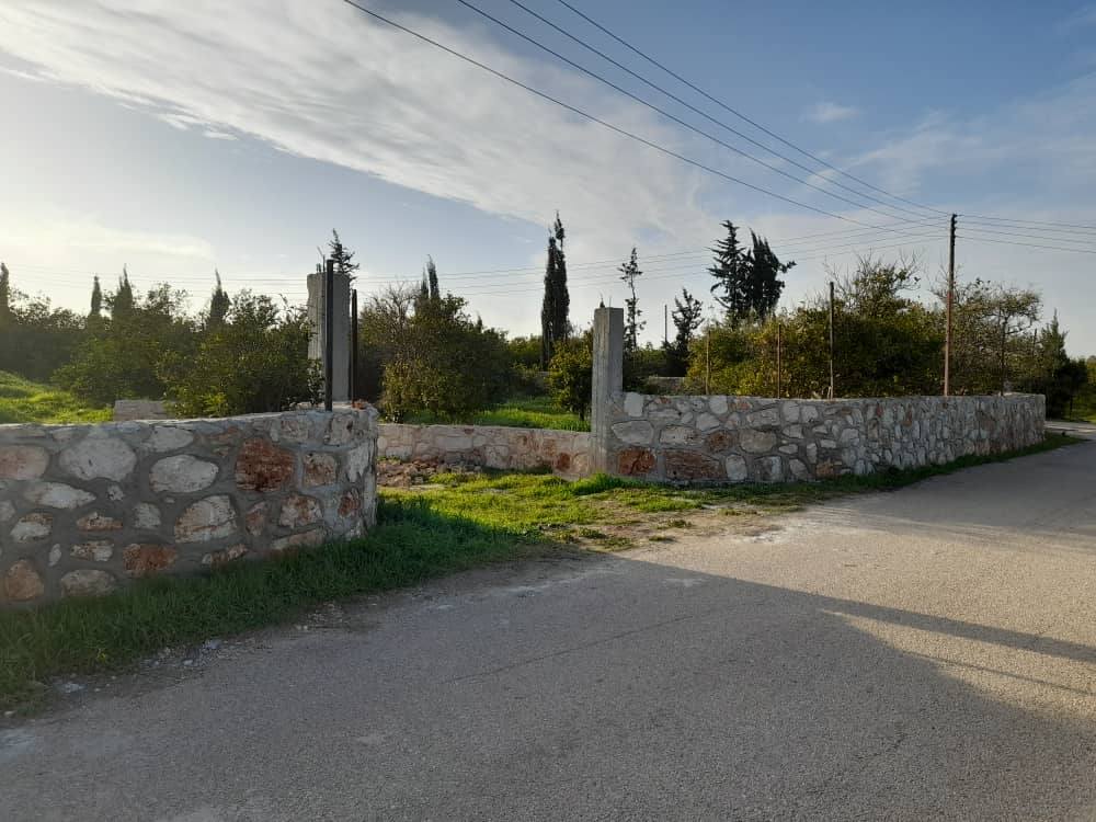 View - Image 1