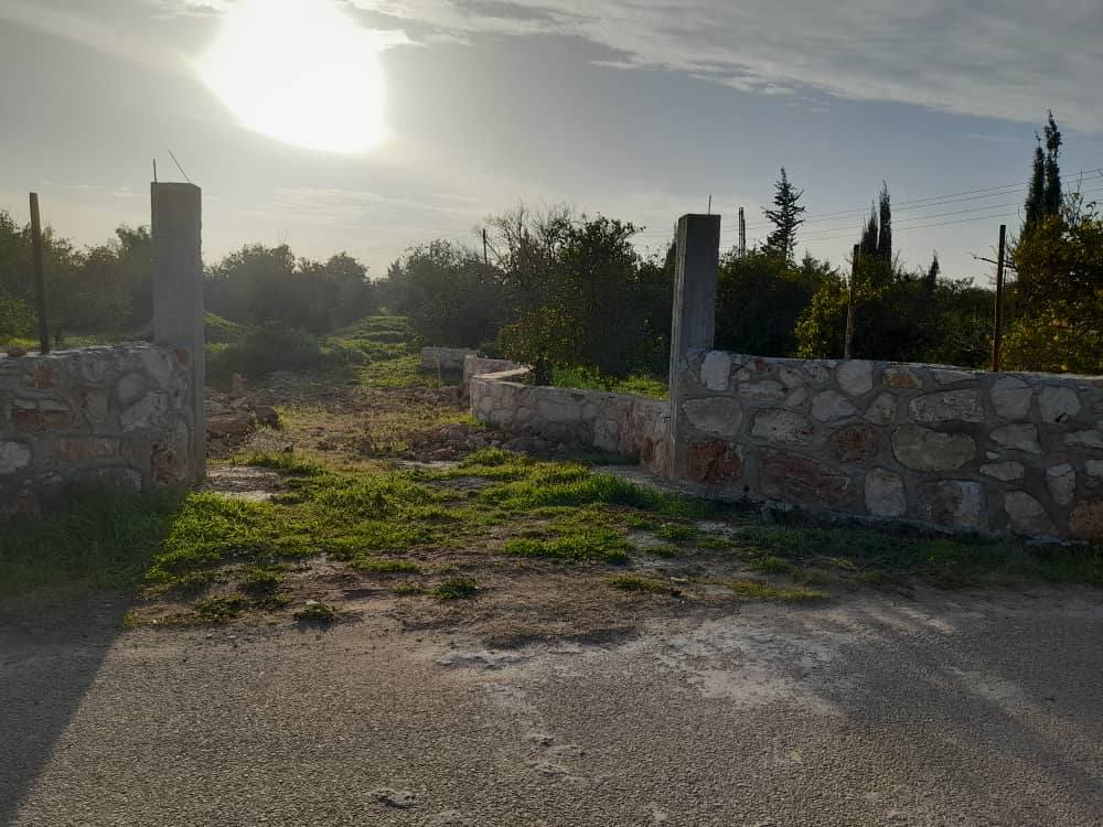 View - Image 2