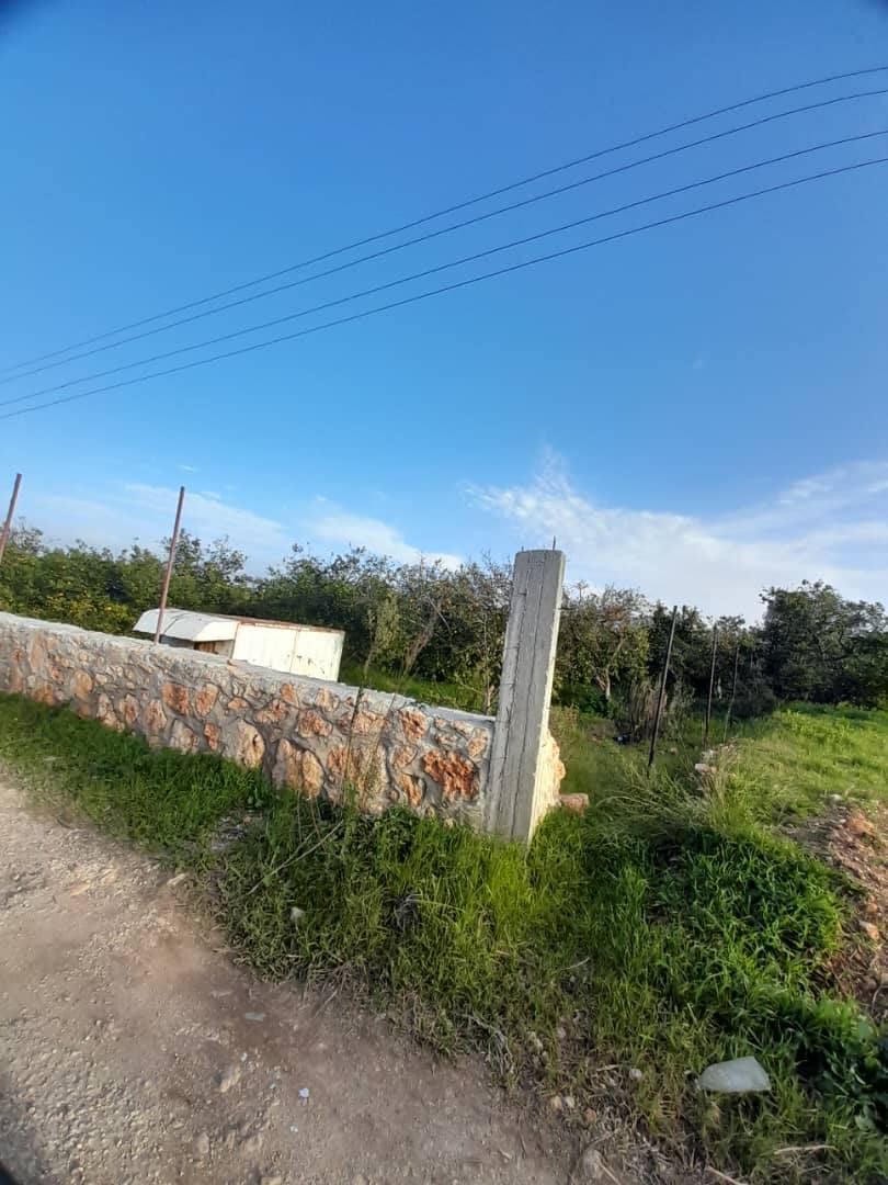 View - Image 3