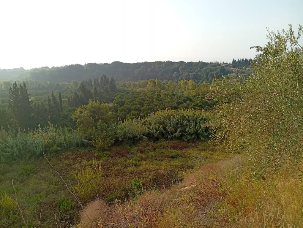 Open view - Image 1