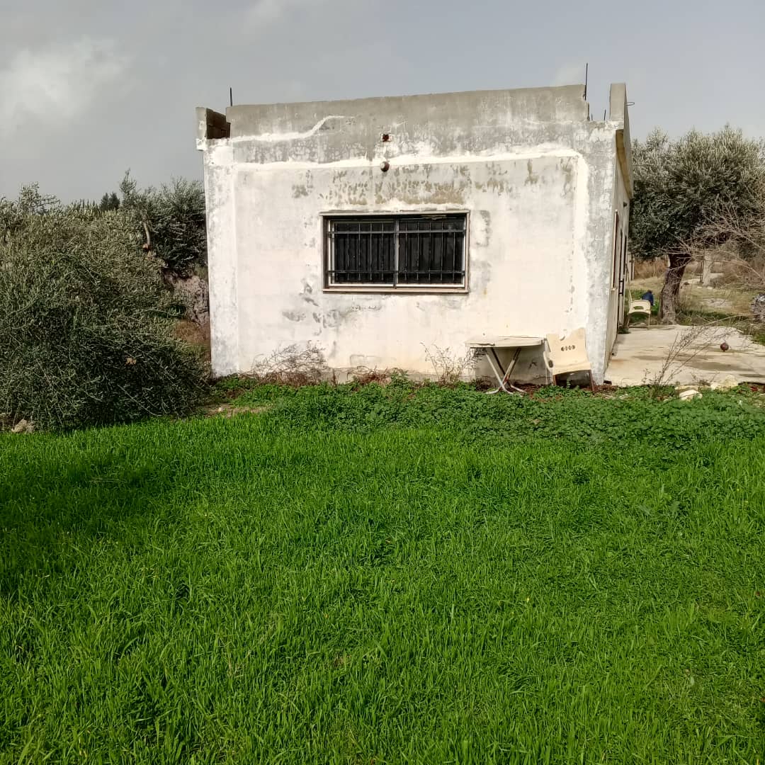 Sea view - Image 2