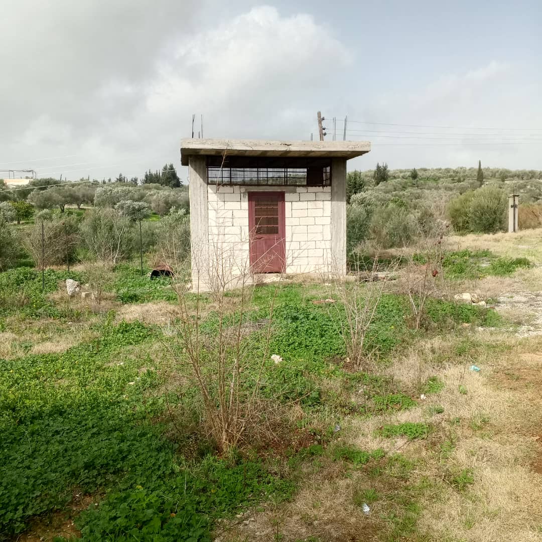 Sea view - Image 5