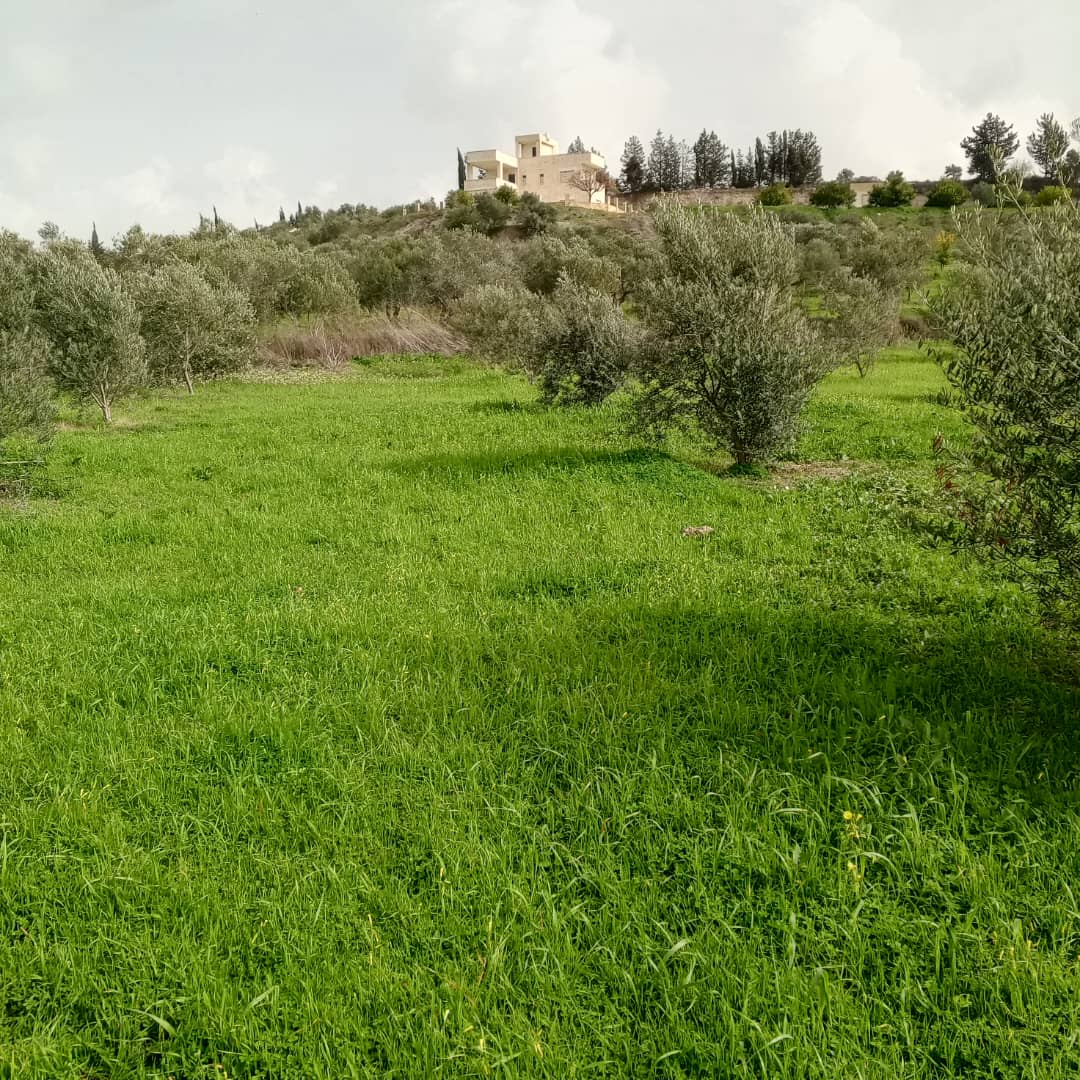 Sea view - Image 6