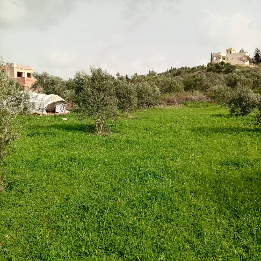 Sea view - Image 7