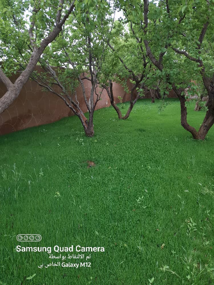 Well-ventilated, Green Title Deed, luxury - Image 2