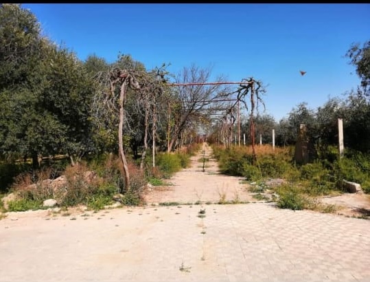 Green Title Deed, Spacious - Image 7