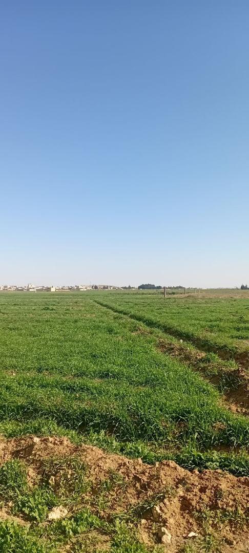 Spacious, View - Image 1