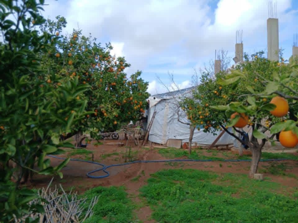 Open view - Image 1