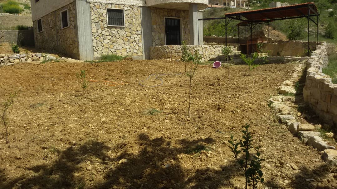 Open view, Green Title Deed - Image 1