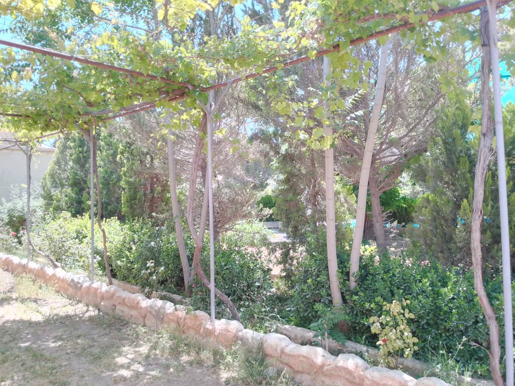 Spacious, super doublex finishing - Image 6