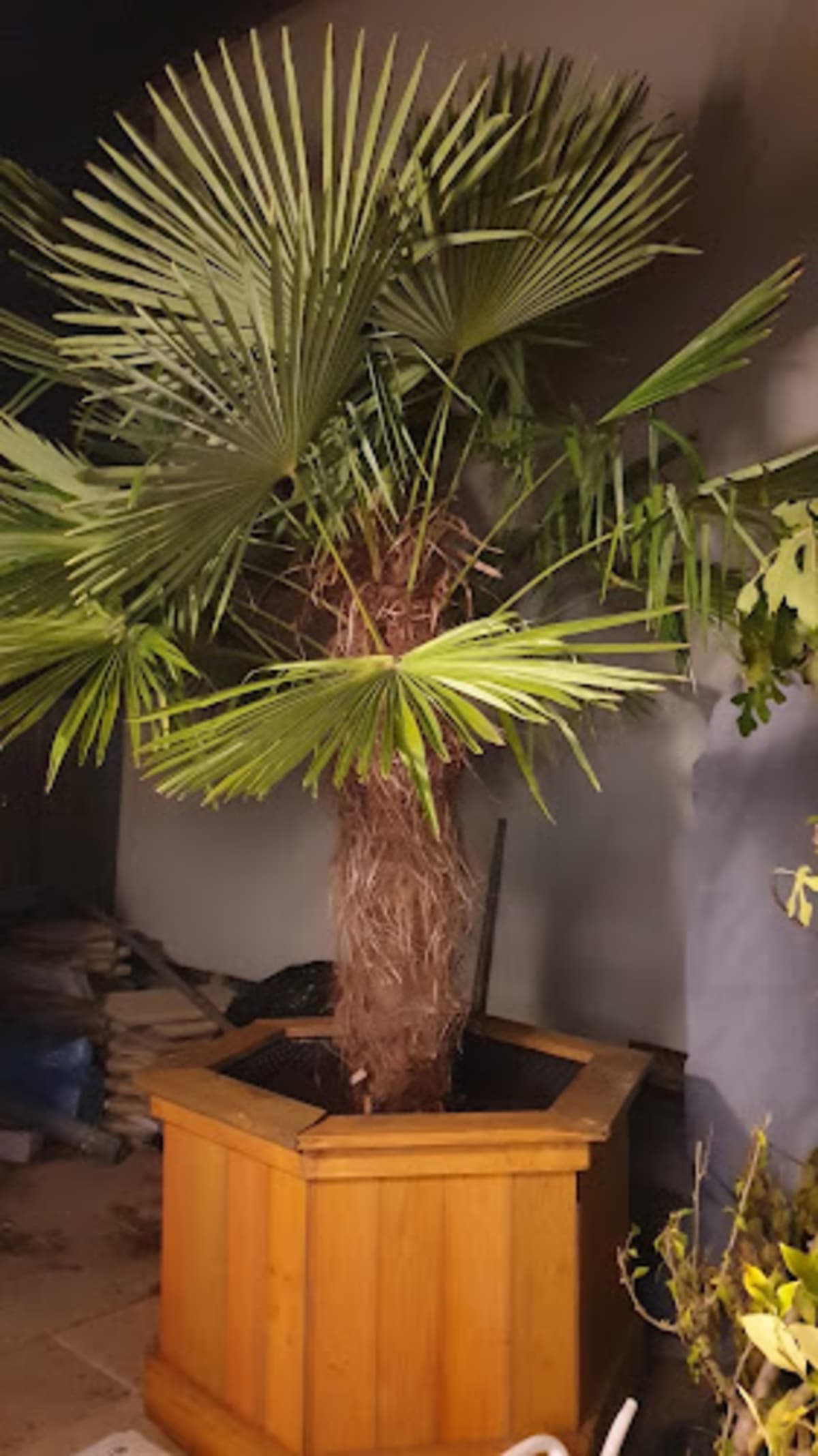 Umzug Baerlin - Halteverbot Berlin