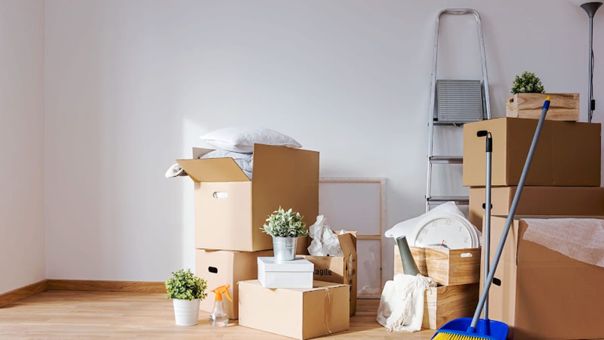 Umzüge Umzugsunternehmen Berlin Entrümpelung Entsorgung - Halteverbot Berlin