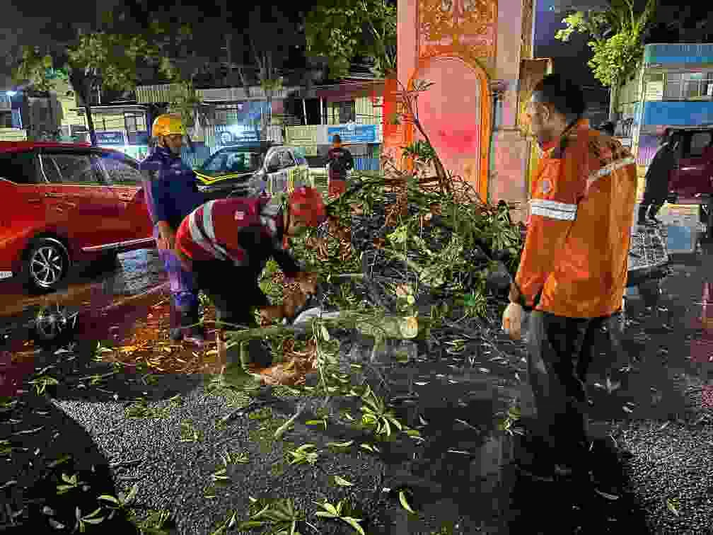Curah Hujan Tinggi, Brimob Cepat Tanggap Evakuasi Pohon Tumbang di Klandasan Balikpapan Curah Hujan Tinggi, Brimob Cepat Tanggap Evakuasi Pohon Tumbang di Klandasan Balikpapan