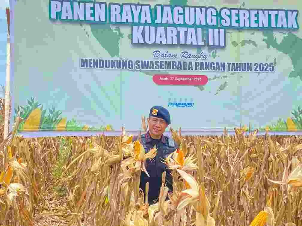 PANEN RAYA JAGUNG SERENTAK KUARTAL III, DANSAT BRIMOB POLDA ACEH HADIRI PANEN 24,5 TON DI ACEH JAYA PANEN RAYA JAGUNG SERENTAK KUARTAL III, DANSAT BRIMOB POLDA ACEH HADIRI PANEN 24,5 TON DI ACEH JAYA