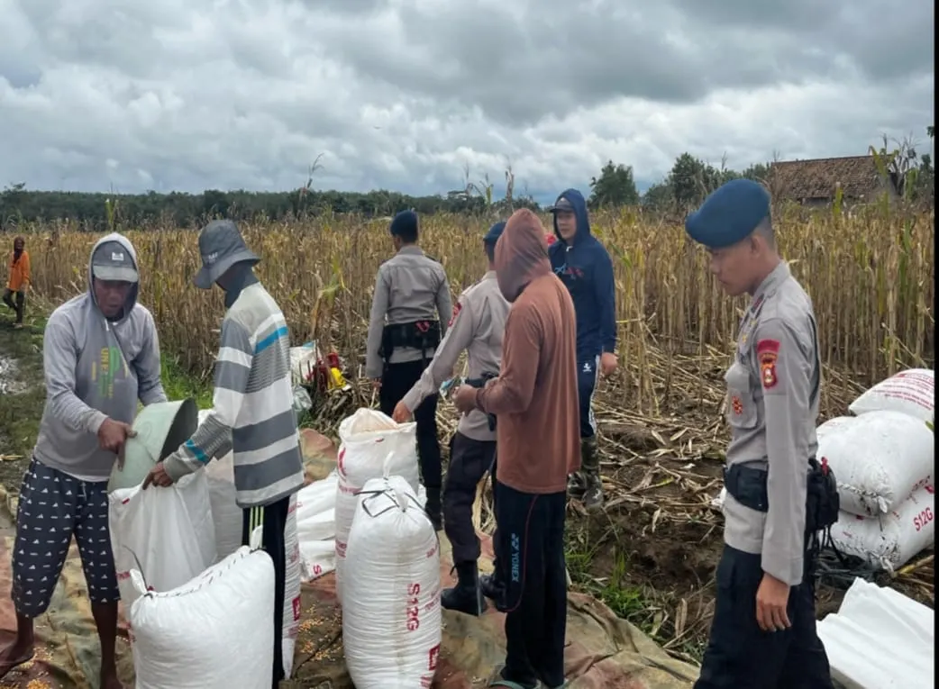 Satbrimob Polda Sumsel Dukung Program Asta Cita Presiden Melalui Patroli Dialogis untuk Peningkatan Produktivitas Pangan dan Pencegahan Propaganda KKB Satbrimob Polda Sumsel Dukung Program Asta Cita Presiden Melalui Patroli Dialogis untuk Peningkatan Produktivitas Pangan dan Pencegahan Propaganda KKB