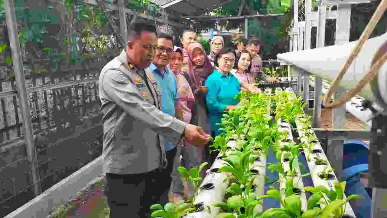 Kapolsek Cakung Tinjau Pekarangan Pangan Bergizi RW 09 Penggilingan, Bagikan Sembako dan Dukung Ketahanan Pangan Warga Kapolsek Cakung Tinjau Pekarangan Pangan Bergizi RW 09 Penggilingan, Bagikan Sembako dan Dukung Ketahanan Pangan Warga