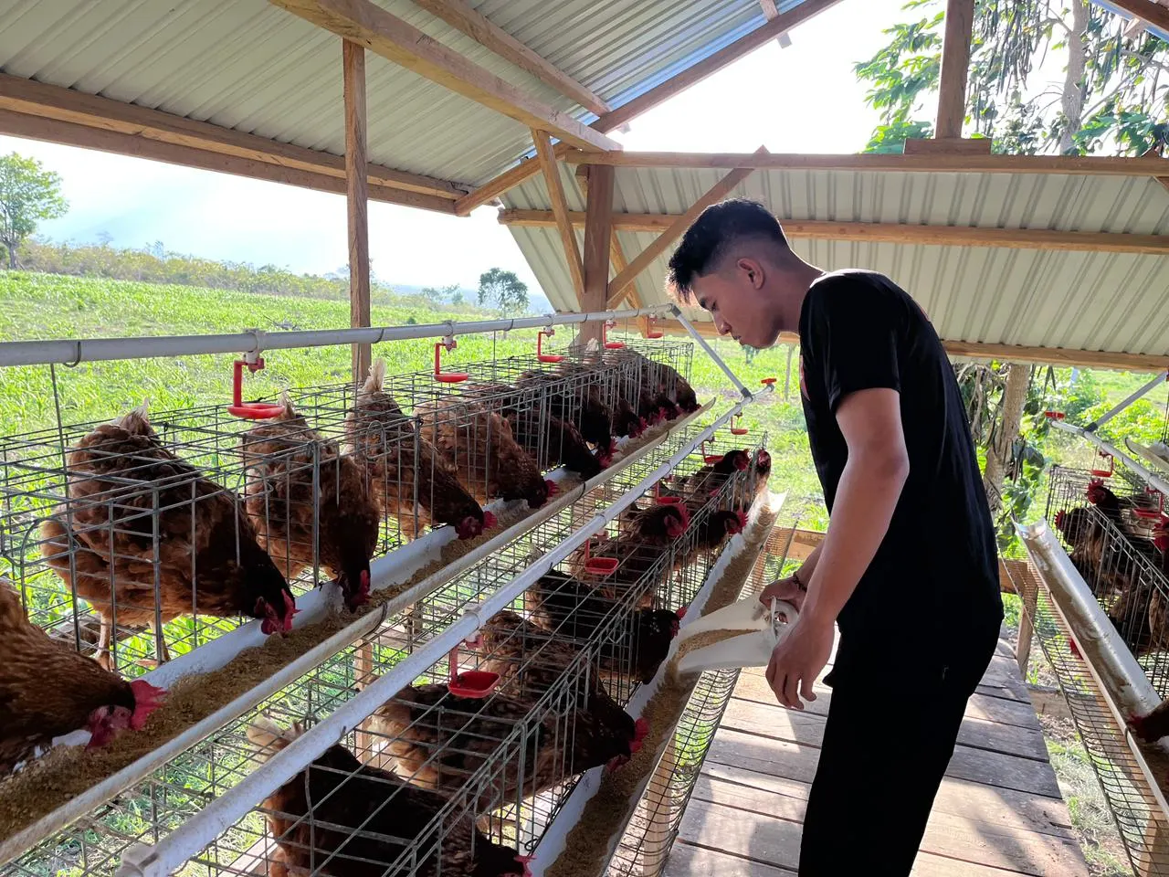 Dukung Program Ketahanan Pangan, Personel Batalyon A Pelopor Satbrimob Polda Sulteng Intensifkan Perawatan Ayam Petelur