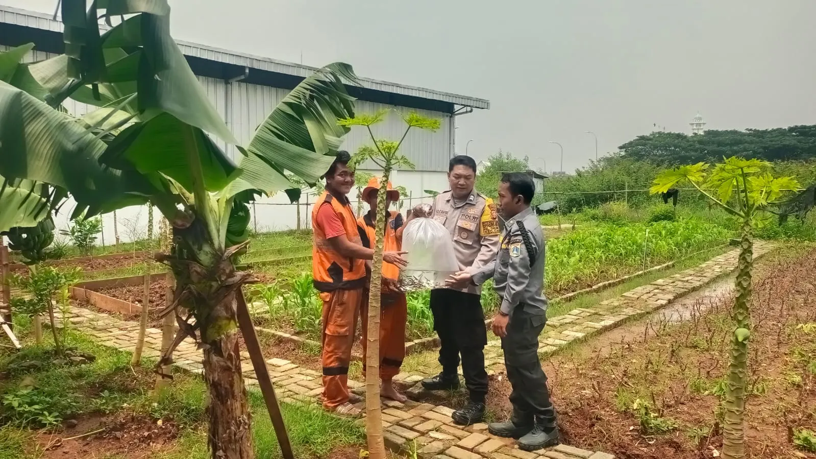 Bhabinkamtibmas Cakung Timur Dorong Ketahanan Pangan, Tebar 500 Bibit Lele di Urban Farming JGC Bhabinkamtibmas Cakung Timur Dorong Ketahanan Pangan, Tebar 500 Bibit Lele di Urban Farming JGC