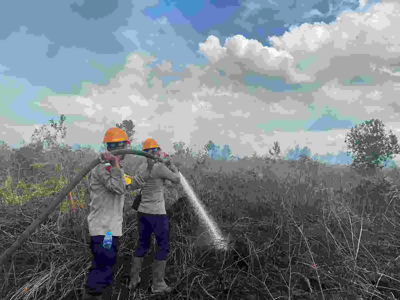 Satbrimob Polda Kalbar perintahkan jajarannya untuk melaksanakan patroli antisipasi kebakaran hutan dan lahan (Karhutla) memasuki musim kemarau di Provinsi Kalbar