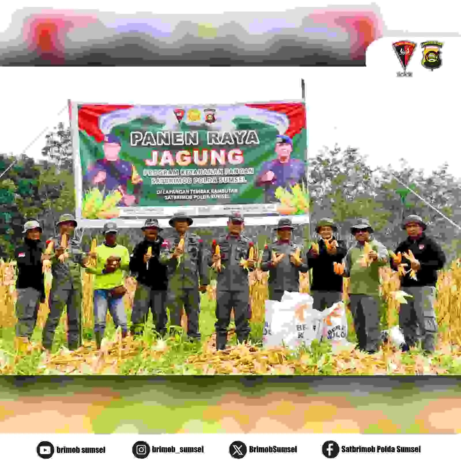 DANSAT BRIMOB POLDA SUMSEL PIMPIN PANEN RAYA KETAHANAN PANGAN DI TEMPAT LATIHAN BRIMOB DANSAT BRIMOB POLDA SUMSEL PIMPIN PANEN RAYA KETAHANAN PANGAN DI TEMPAT LATIHAN BRIMOB
