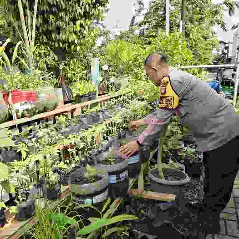 Dukung Program Asta Cita, Bhabinkamtibmas Cakung Bina Ketahanan Pangan di Pekarangan Warga Dukung Program Asta Cita, Bhabinkamtibmas Cakung Bina Ketahanan Pangan di Pekarangan Warga