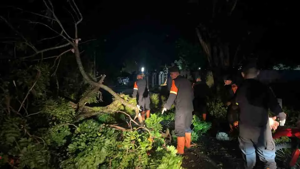 Brimob Polda Sumut Sigap Evakuasi Pohon Tumbang, Wujud Nyata Kehadiran di Tengah Masyarakat Pematangsiantar Brimob Polda Sumut Sigap Evakuasi Pohon Tumbang, Wujud Nyata Kehadiran di Tengah Masyarakat Pematangsiantar